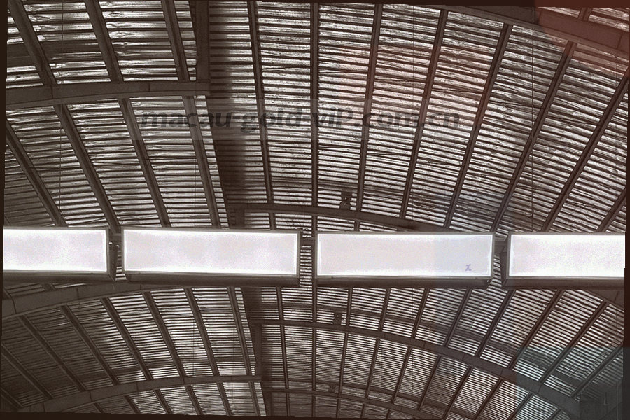 档案柜抽屉微距特写，抽屉边缘与标签处有细金线，半开的抽屉露出卡片边缘